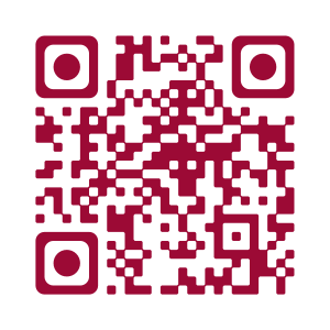 QRCOde Accordeon-occasion