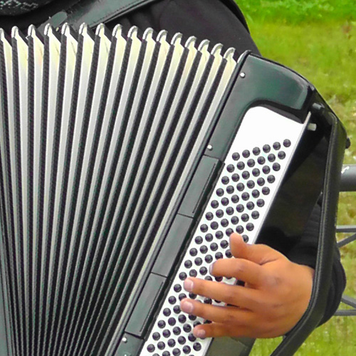 Accordeon Occasion